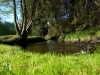 penzion__lipno-penzion-frymburk-vresna-17_jpg_595